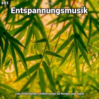 Entspannungsmusik pt. 50 - Einschlafen