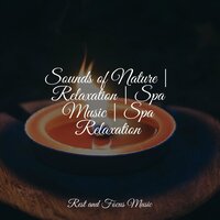 Calming Melody - Pet Care Music Therapy & Yoga Namaste & Relaxation Sleep Meditation