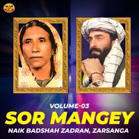 Janana Tor Me De Zarge - Naik Badshah Zadran & Zarsanga