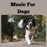 Restful Dreams - Music for Dogs & Music for Dogs Peace & Relaxing Puppy Music & Calm Pets Music Academy