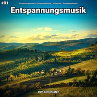 Entspannungsmusik pt. 17 - Entspannungsmusik zur Tiefenentspannung & Schlafmusik & Entspannungsmusik