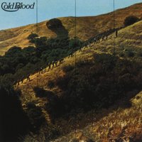 Shop Talk - Cold Blood