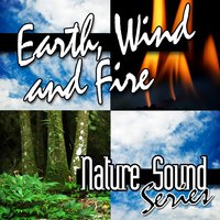 Wild Birds in Forest Clearing - Nature Sound Series