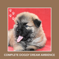 Mindful Moments - Puppy Relaxation
