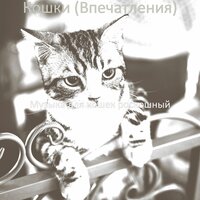 Звуки (Одинокие кошки) - Музыка для кошек роскошный