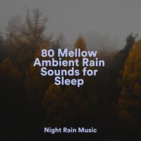 Forest, Morning, Birds, Bugs - Nature and Rain & Raindrops Sleep & Help Me Sleep