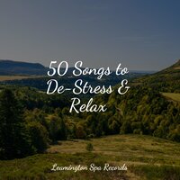 An Inner Sunshine - Zona Música Relaxante & Rain Sound Plus & Binaural Creations