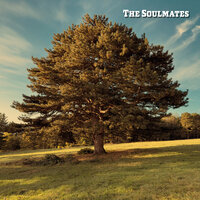 Nix Schöneres - The Soulmates