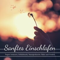Beruhigende Meere - Entspannungsmusik Klavier Akademie & Hochzeitsmusik Piano