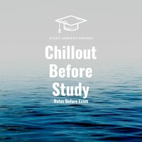 Heavenly - Study Ambient Sounds