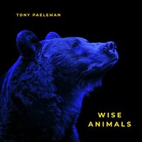 Wild Goose - Tony Paeleman