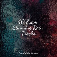 White Noise Rainy Boats - Binaural Creations & Meditação Maestro & Rest & Relax Nature Sounds