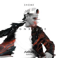 Touching the Sky - Shome