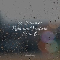 Rain in the Jungle - Schlaflieder Für Kinder & Sleep Meditation Dream Catcher & Tibetan Singing Bowls for Relaxation