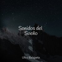 Paseos A La Luz De La Luna - Lluvia Relajante & Zona Música Relaxante & Musica Relajante New Age Culture