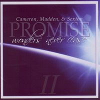 Nobody Else Like You - Promise