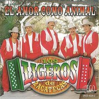 Asi Es Mi Corazon - Los Ligeros De Zacatecas
