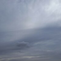 Auf das Leben - Mel