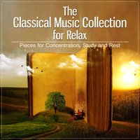 Piano Sonata No. 3 in F Minor, Op. 5: IV. Intermezzo – Andante molto - Bielsko Baroque Chamber Academy & Иоганнес Брамс