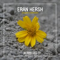 Desert Symphony - Eran Hersh