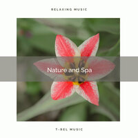 Get the Power of Brilliant Spa with Bird Calls pt. 2 - Spa Music Hour