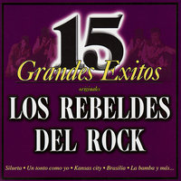 Técnica - Los Rebeldes del Rock