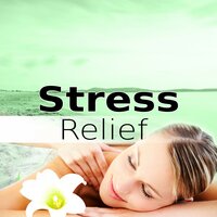 Instrumental Music - Pure Massage for Life Universe