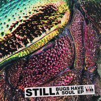 Hidden Worlds - Still