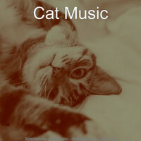 Background for Cats - Cat Music