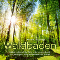 Forest Meditation, Pt. 1 - Malcolm Southbridge