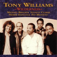 Wilderness Voyager - Tony Alonso