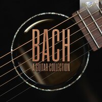 Partita No. 3 in E Major, BWV 1006: V. Bourrée - Francesco Teopini & Johann Sebastian Bach