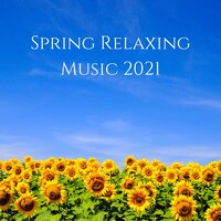 In the Garden - Calm Singing Birds Zone