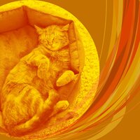 Созерцая (Спокойные Кошки) - Кошачья музыка Ретро