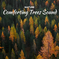 Relaxing Tangle - Nature Field Recordings & Nature on Record & Nature Lab