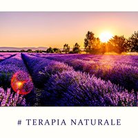 Massaggio termale - Meditazione Zen Musica & Relax Musica Zen Club