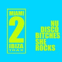 She Rocks - Nu Disco Bitches & Aibohponhcet & Terry De Jeff