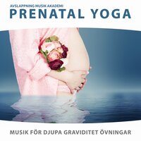 Stillhet och harmoni - Avslappning Musik Akademi