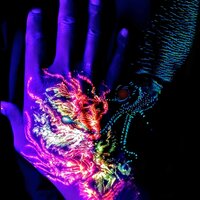 Firefly Squid - Do Shock Booze & DJ M.A.X