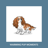 Pet Stretches - Dog Chill Out Music