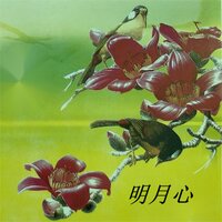 有一份爱 - 黑鸭子