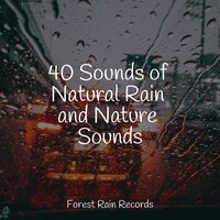 Rainy, Stormy Night - Deep Sleep FX & Mindfulness Meditation Universe & Sleep Meditation Dream Catcher