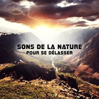 Océan - Nature Académie