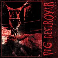 Alcatraz Metaphors - Pig Destroyer