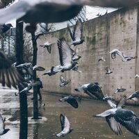 Viaje Al País De Los Sueños - Relajantes sonidos de lluvia & Relajar & Meditação Maestro