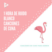 Juan Paco Pedro de la Mar con relajantes sonidos del océano - Canciones de Cuna