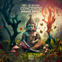 Concerto - Belik Boom & SHIGAON