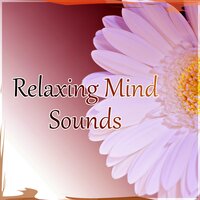Relaxing Mind Sounds - Soothing Music Specialists