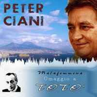 Te voglio bene assaje - Peter Ciani