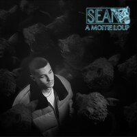 laquelle - Sean